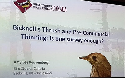 Bicknell’s Thrush, State of Canada’s Birds Were Focal Points at Recent Meeting