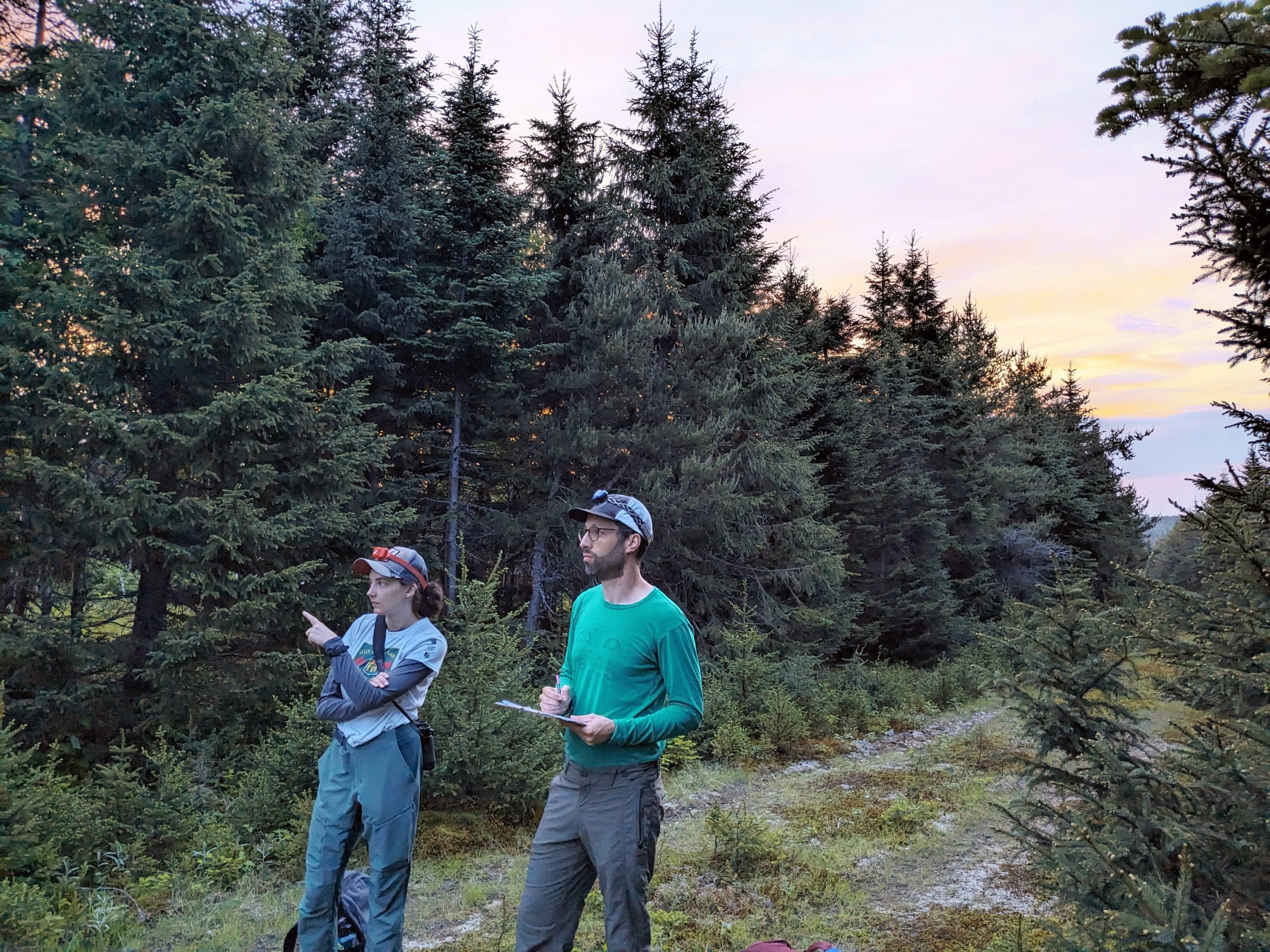 Patrick conducting a Bicknell’s Thrush point counts.