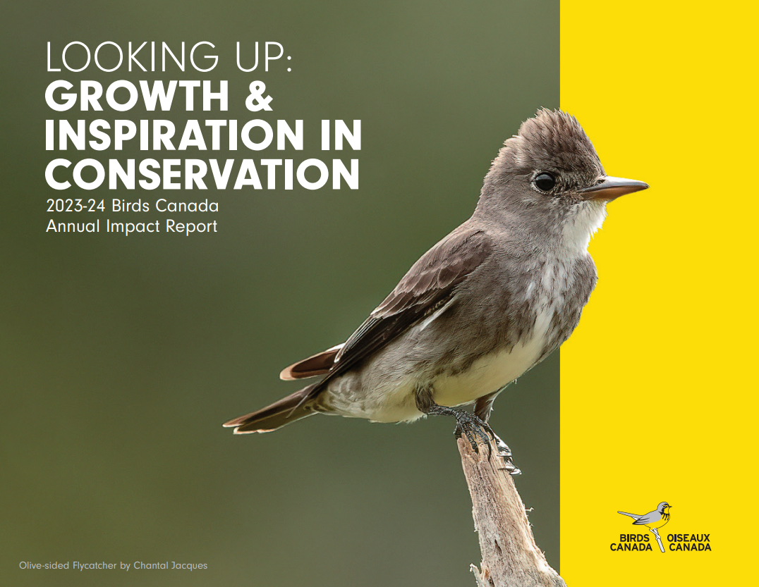 The report cover features an Olive-sided Flycatcher on a branch with the title "Looking up: Growth and Inspiration in Conservation"