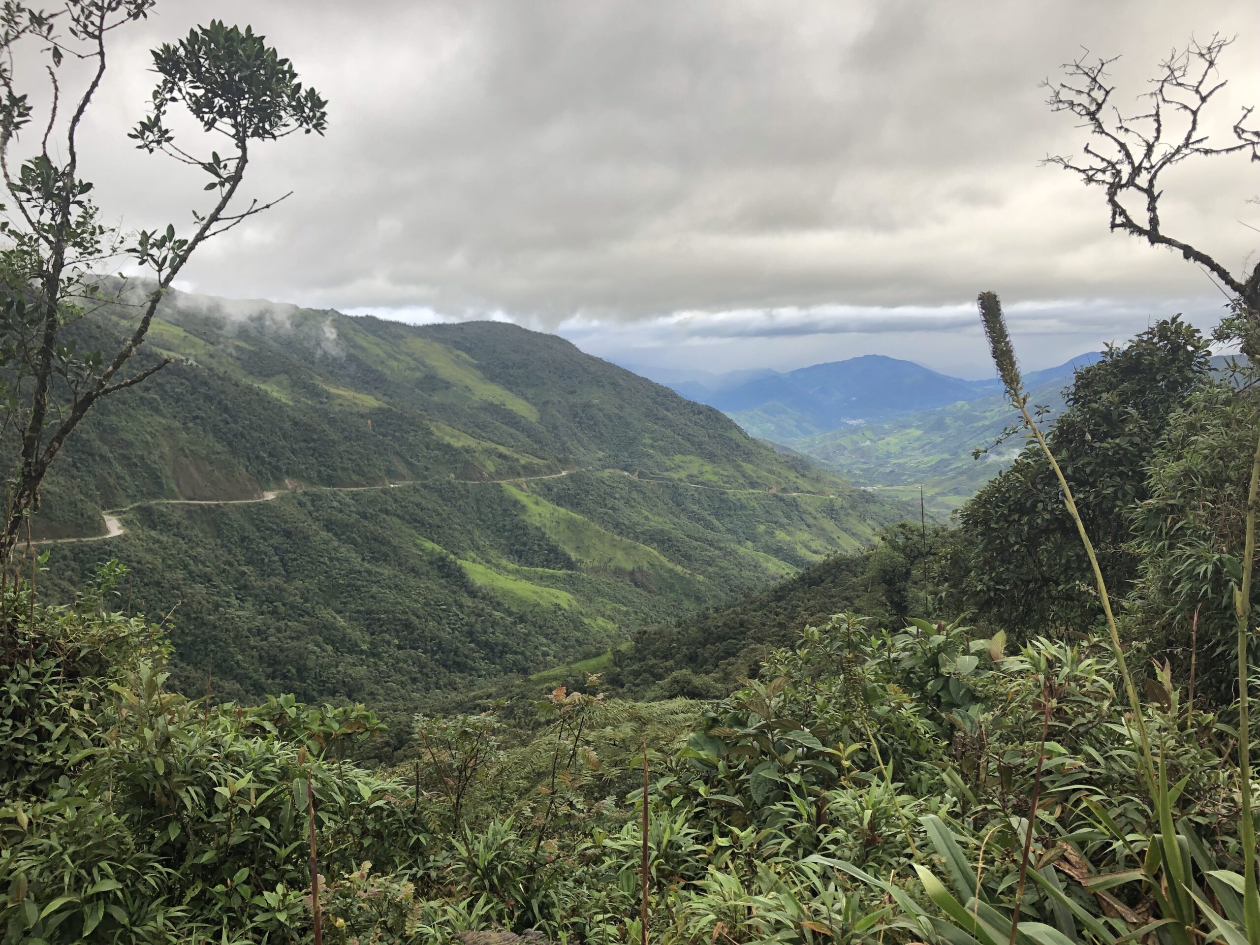 Southern Ecuadorian Andes