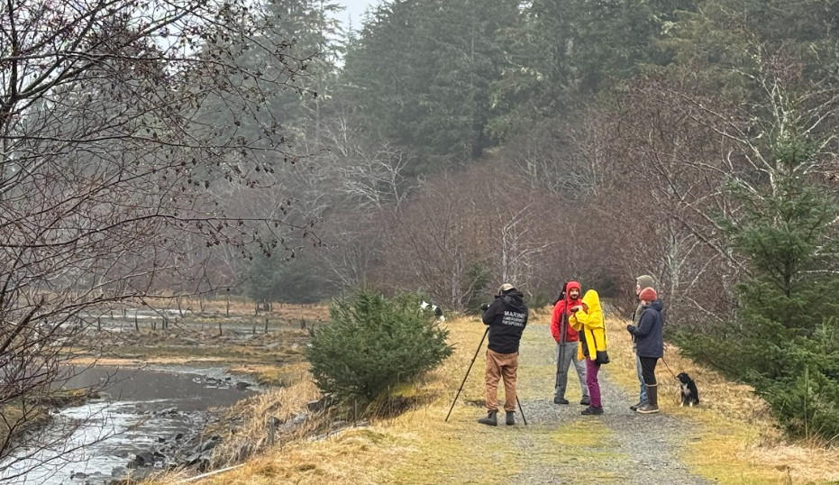 Several people birding near a body of water.