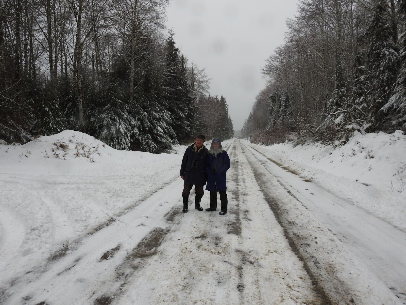 Peter and Margo standing on the snowy trail during a Port Clements Count.