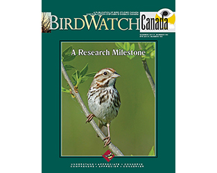 Summer Research and Conservation Updates in BirdWatch Canada