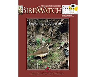 Fall for Birds with the New Issue of BirdWatch Canada