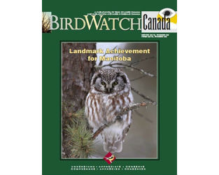 Take a Break with the Latest Issue of “BirdWatch Canada”