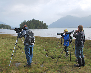 Volunteers Needed for Coastal Surveys in British Columbia