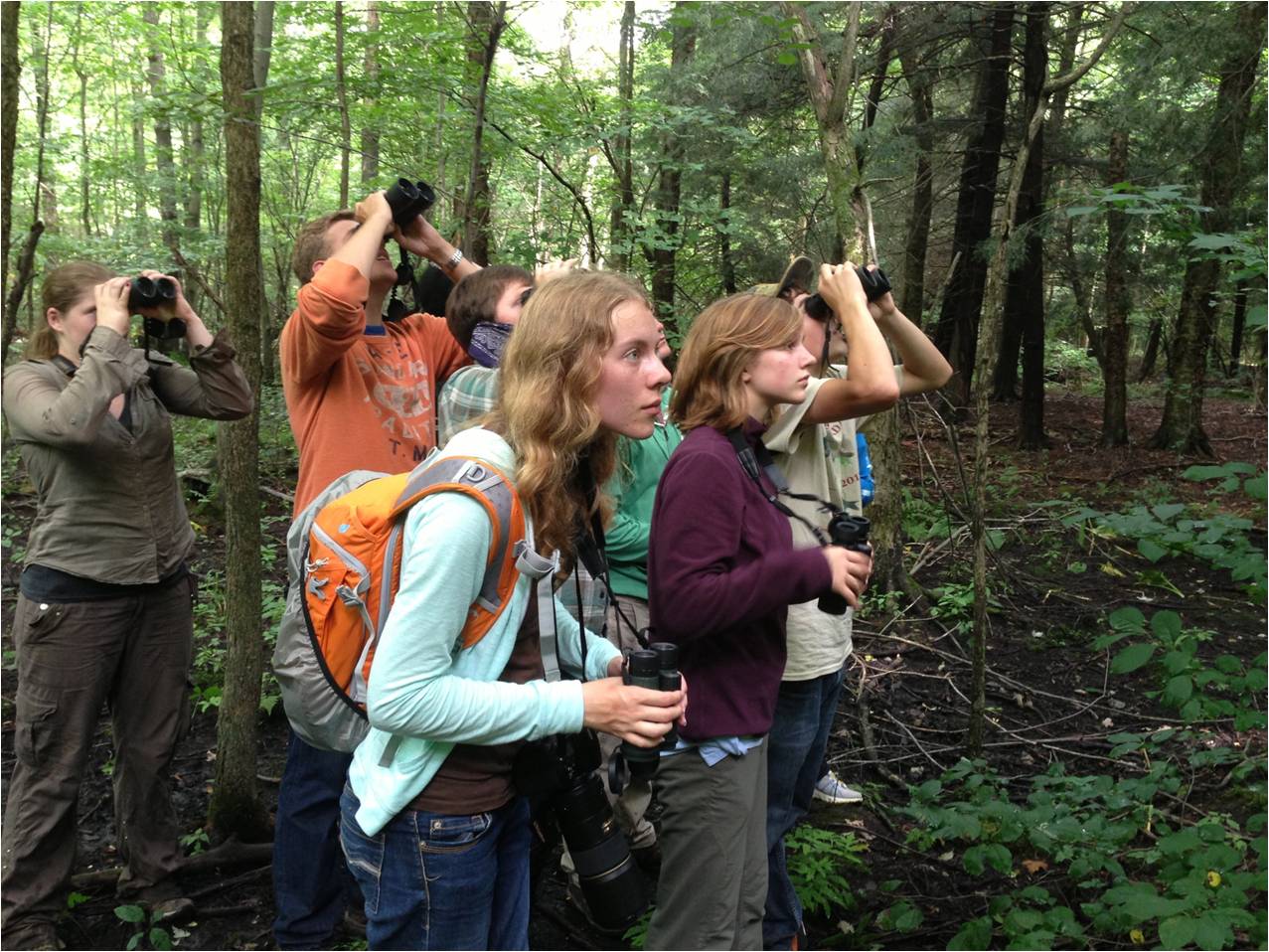 Young birders looking for a bird in a Carolinian forest