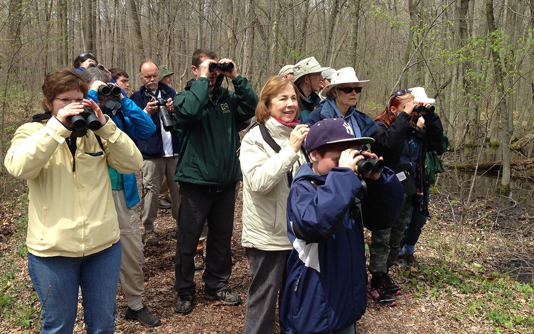 ‘Folk BIRDS’ Outing in Norfolk County