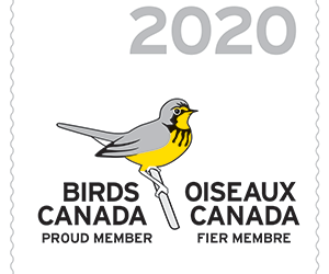 Your 2020 Birds Canada membership!