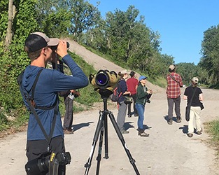 Opportunities for Young Ornithologists in 2020