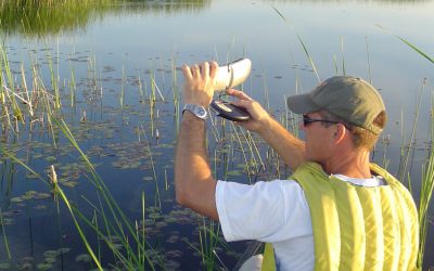 Citizen Science Programs you can Join This Spring