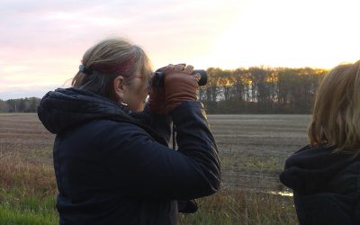 Sign up now for the Great Canadian Birdathon