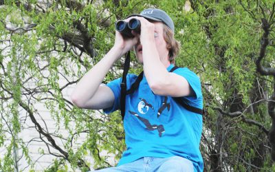 Birdathon fun spans the country and the seasons in 2020