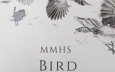 MMHS Bird Celebration