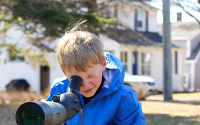 Bird Blitz at Home connects students to birds and nature