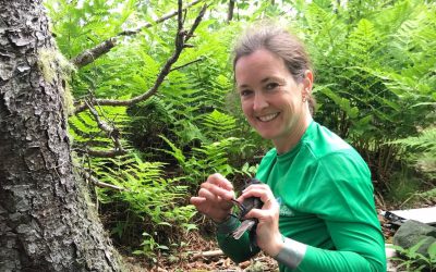 Storm-petrel research continues despite border closure