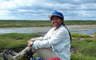 Champions behind the scenes in Great Lakes Piping Plover conservation