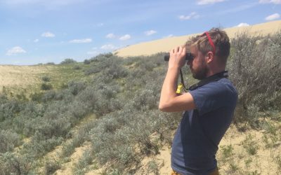 Undaunted atlassers gather flocks of data on Saskatchewan’s breeding birds