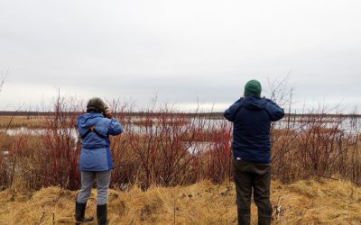 Identifying Canada’s Key Biodiversity Areas to help set conservation priorities