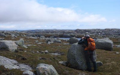 Enjoy birds and fresh air! Volunteer opportunities for spring 2021