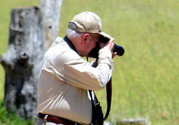 Join the 2021 Birdathon – for fun, community, and birds!