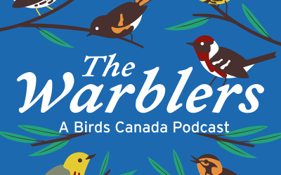 Coming soon: “The Warblers” podcast will inform, entertain, inspire!