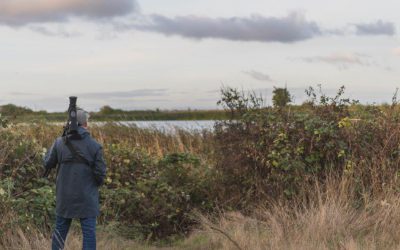 Iona Island is a bird oasis – Let’s keep it that way