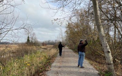 A successful third count in the Fraser River Estuary, a crucial wintering bird hotspot