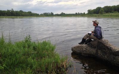 Volunteers needed to survey birds and frogs in the Great Lakes region