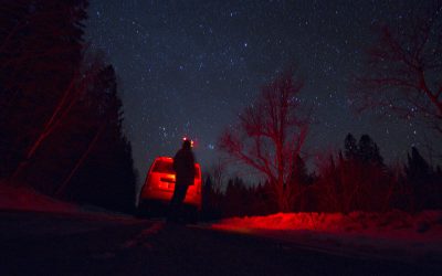 Québec Nocturnal Owl Survey Needs You