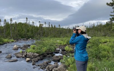 Volunteers needed in the Atlantic Region