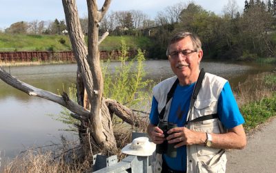 From bird curious to bird conservationist: a Birdathon story