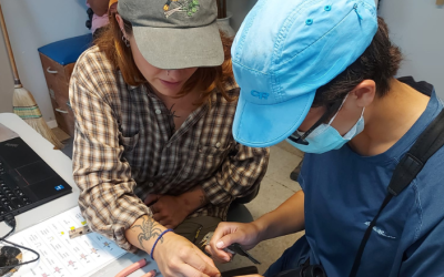 The return of Long Point Bird Observatory’s Young Ornithologists’ Workshop