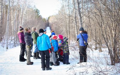 The Christmas Bird Count: a tradition that helps birds