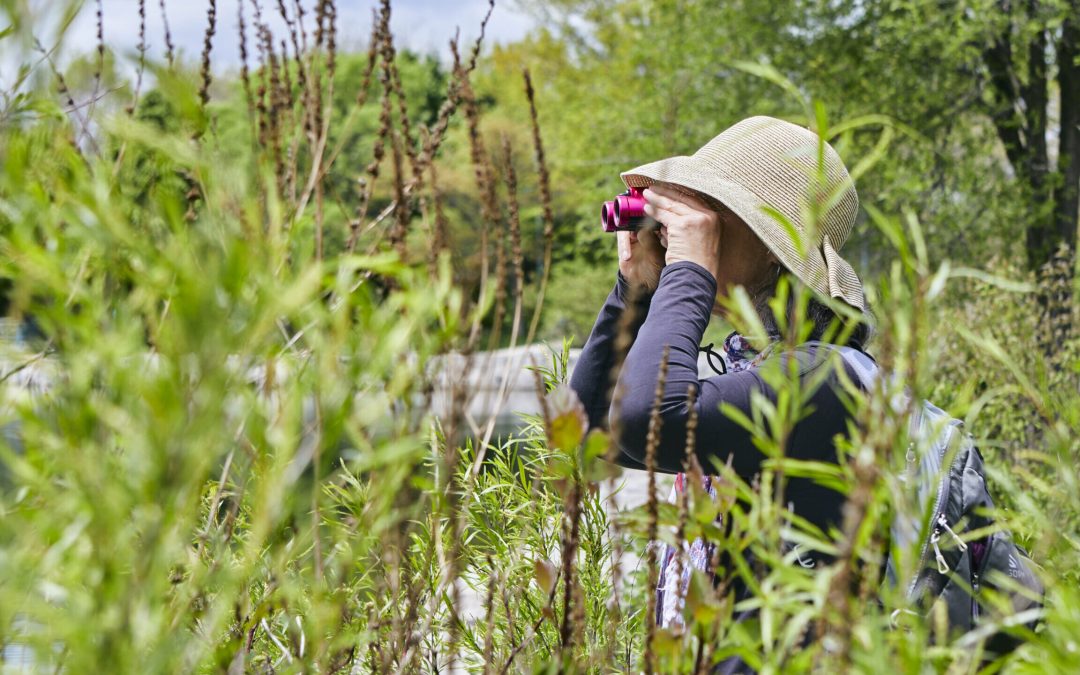 Fjällräven Walk at Tommy Thompson Park with Kyle Horner