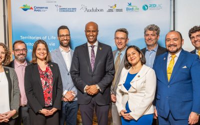 Government of Canada invests $15M in the Conserva Aves initiative