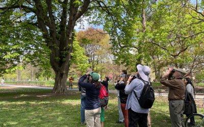 Flocking Together: The Role of Birding in Connecting Newcomers in Toronto