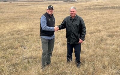 Grassland Conservation Takes Flight: Innovative Project Aims to Conserve Declining Grassland Bird Populations